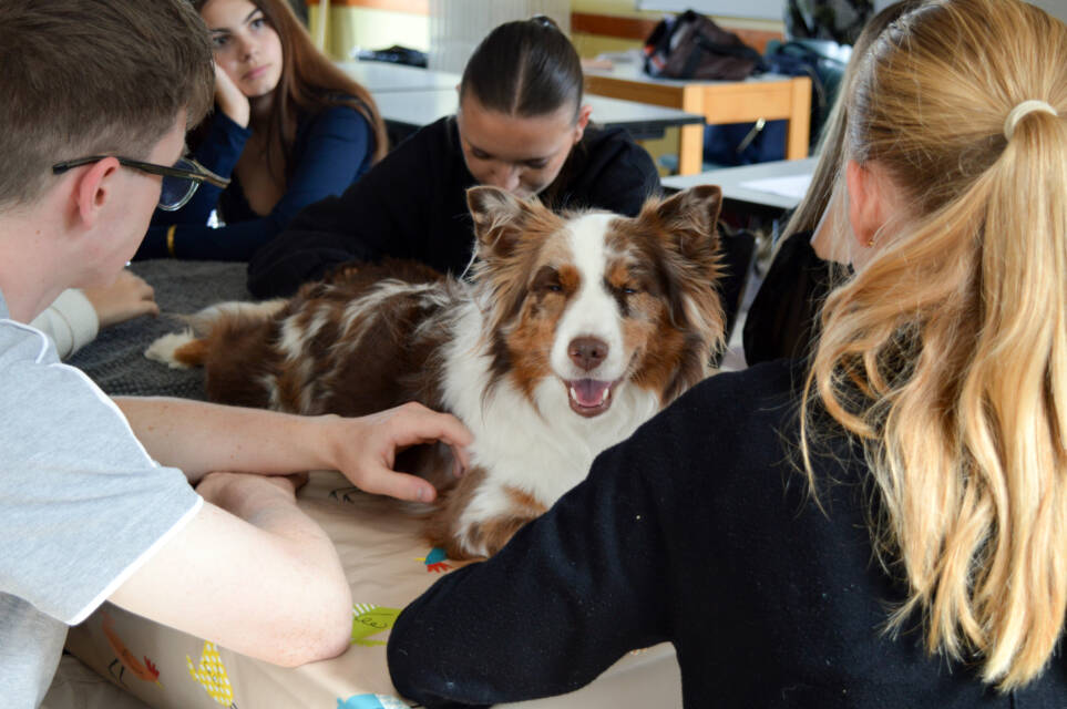 Élèves de Terminale SAPAT lors d'une séance de médiation animale avec un chien au lycée Le Bois Tillac