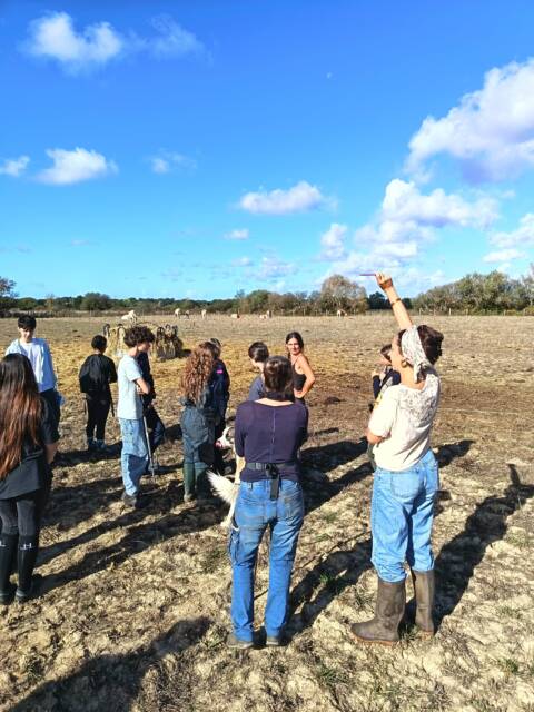 Enseignante montrant des éléments caractéristiques de l’élevage herbager dans les prairies du marais de Buzay